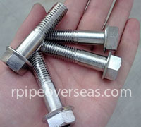 Stainless Steel 304L Bolt Manufacturer In India