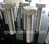 Stainless Steel 304L Fasteners Manufacturer In India